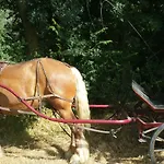 克劳斯阿拉萌旅馆