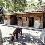 招待所 克劳斯阿拉萌旅馆 3*