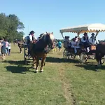 克劳斯阿拉萌旅馆 招待所 3*