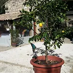 招待所 克劳斯阿拉萌旅馆