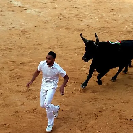 Maison d'hôtes Le Clos Des Aramons Bernis