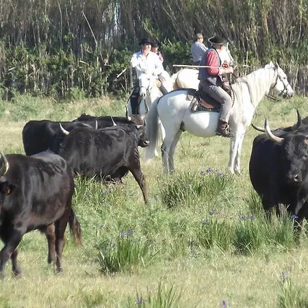 Le Clos Des Aramons Bernis
