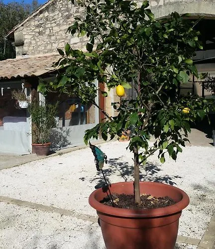 Πανσιόν Le Clos Des Aramons